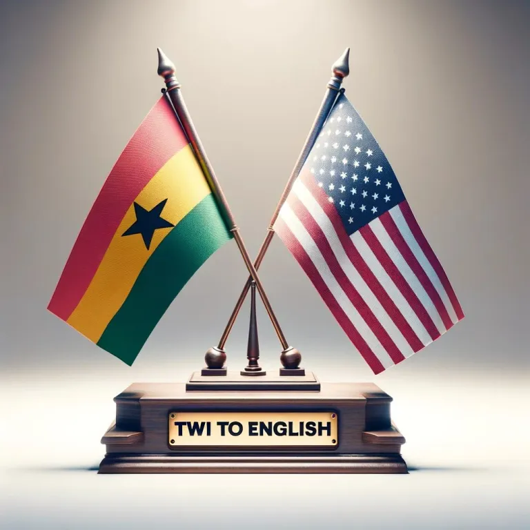 Translate Twi to English