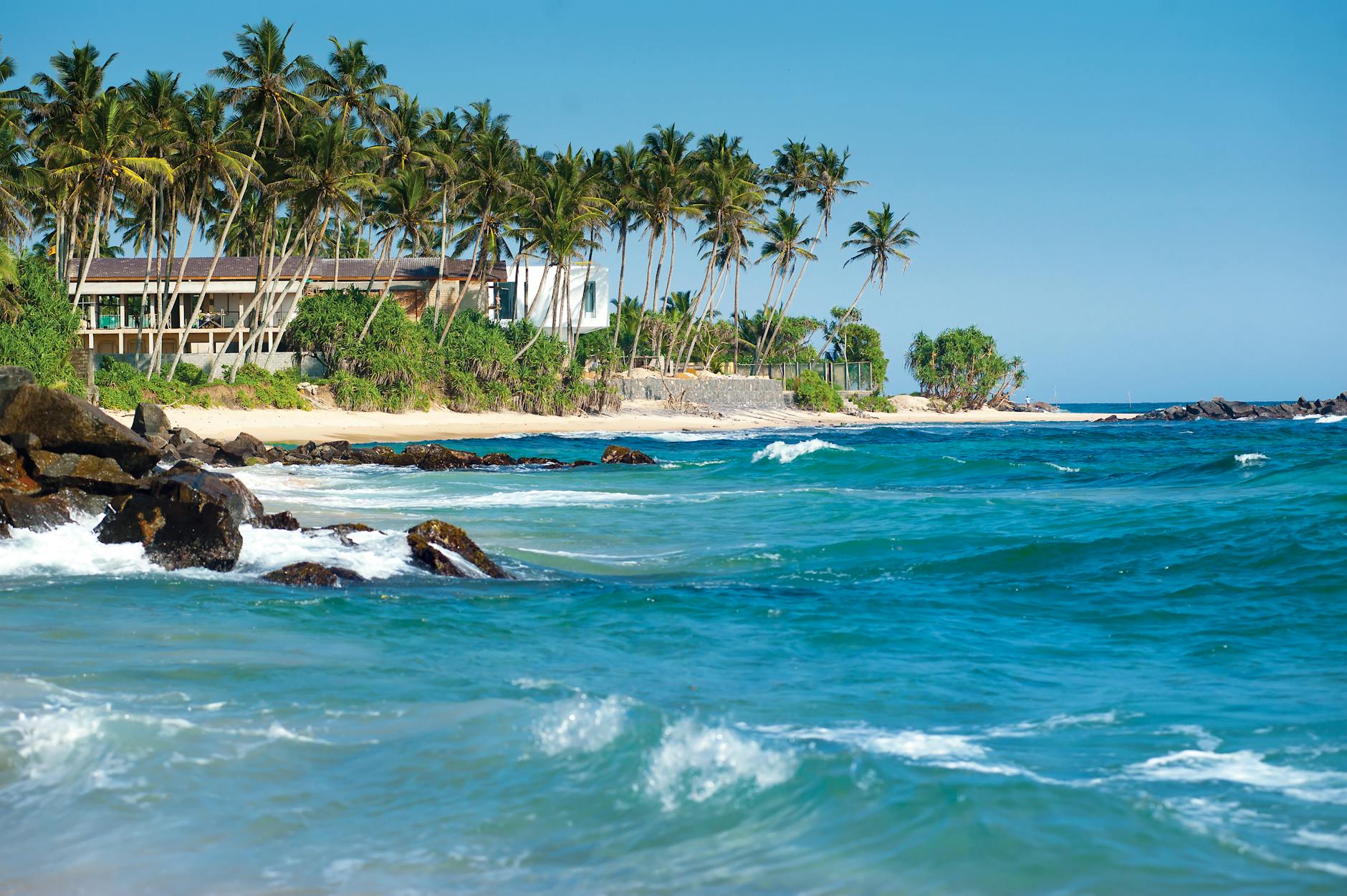 Scenic view of a serene Sri Lankan beach lined with lush palm trees, embodying the natural beauty of regions inhabited by the Sri Lankan Tamil community.