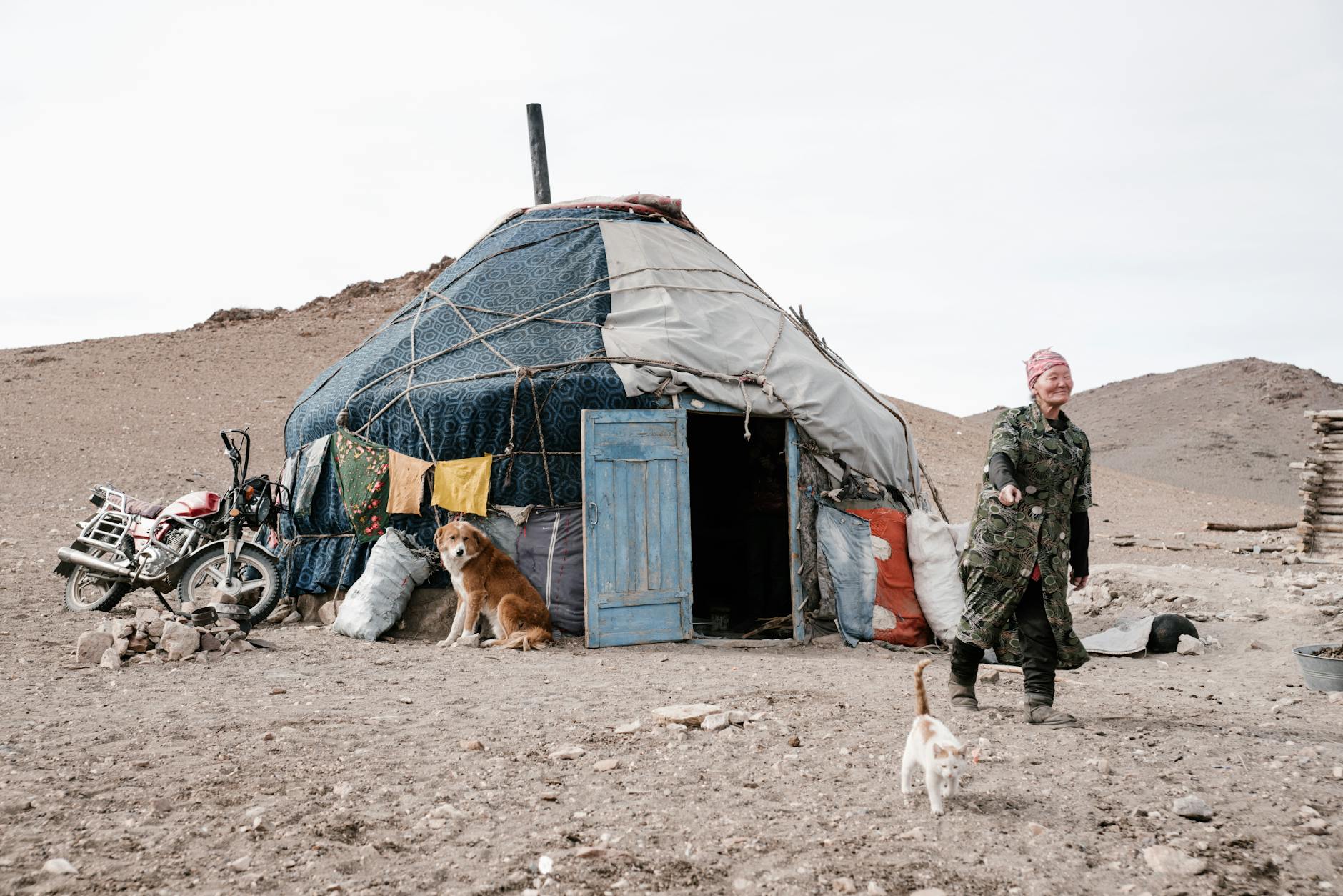 Senior Mongolian woman pointing at a cat walking near a traditional ger home.