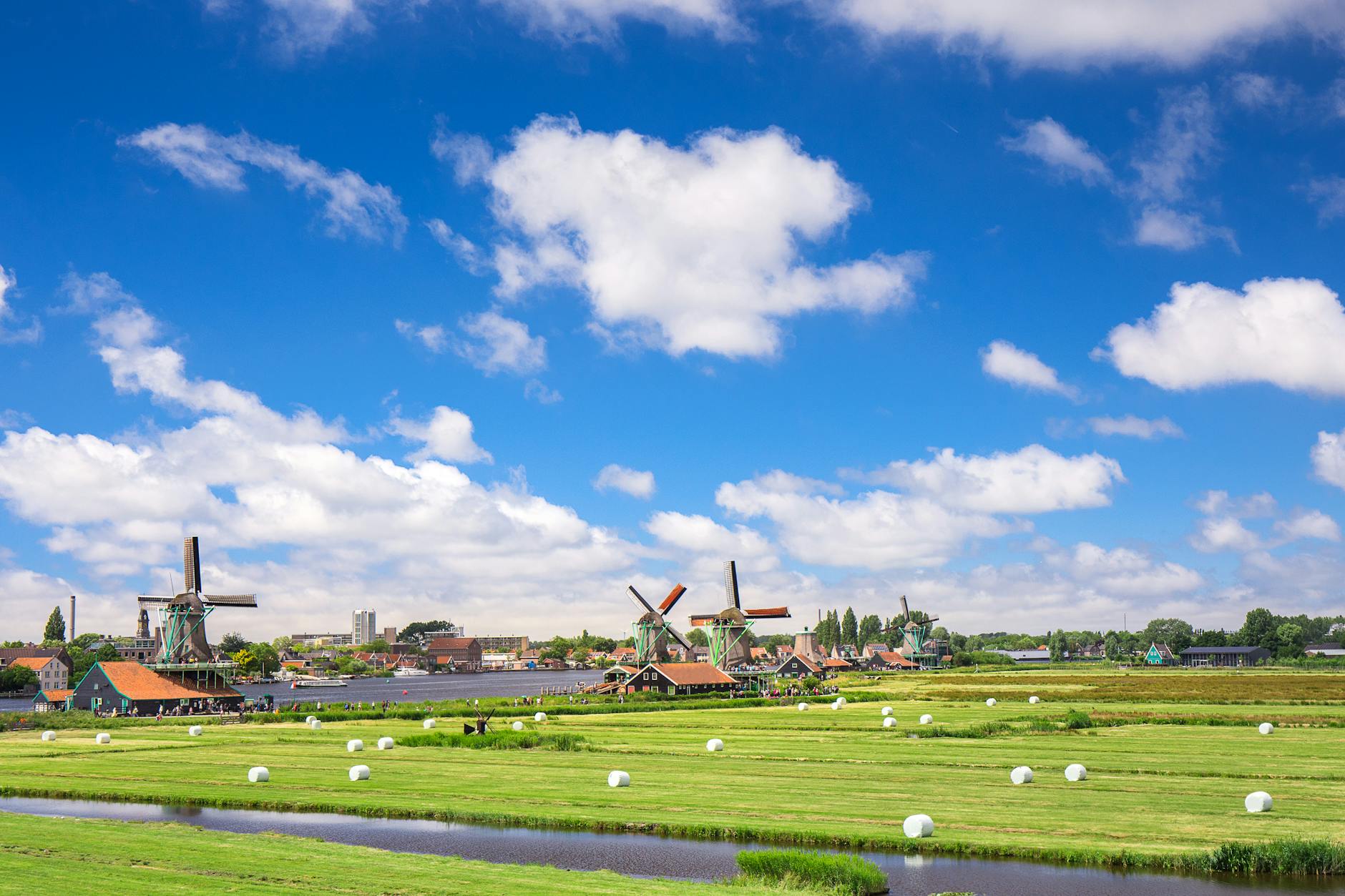 Scenic view of traditional Dutch windmills and green fields under a bright blue sky in Friesland, Netherlands.