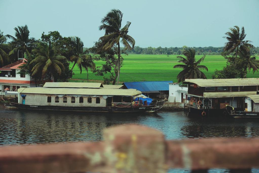 Traditional houseboats moored along a serene riverbank with lush green fields and palm trees in the background.
